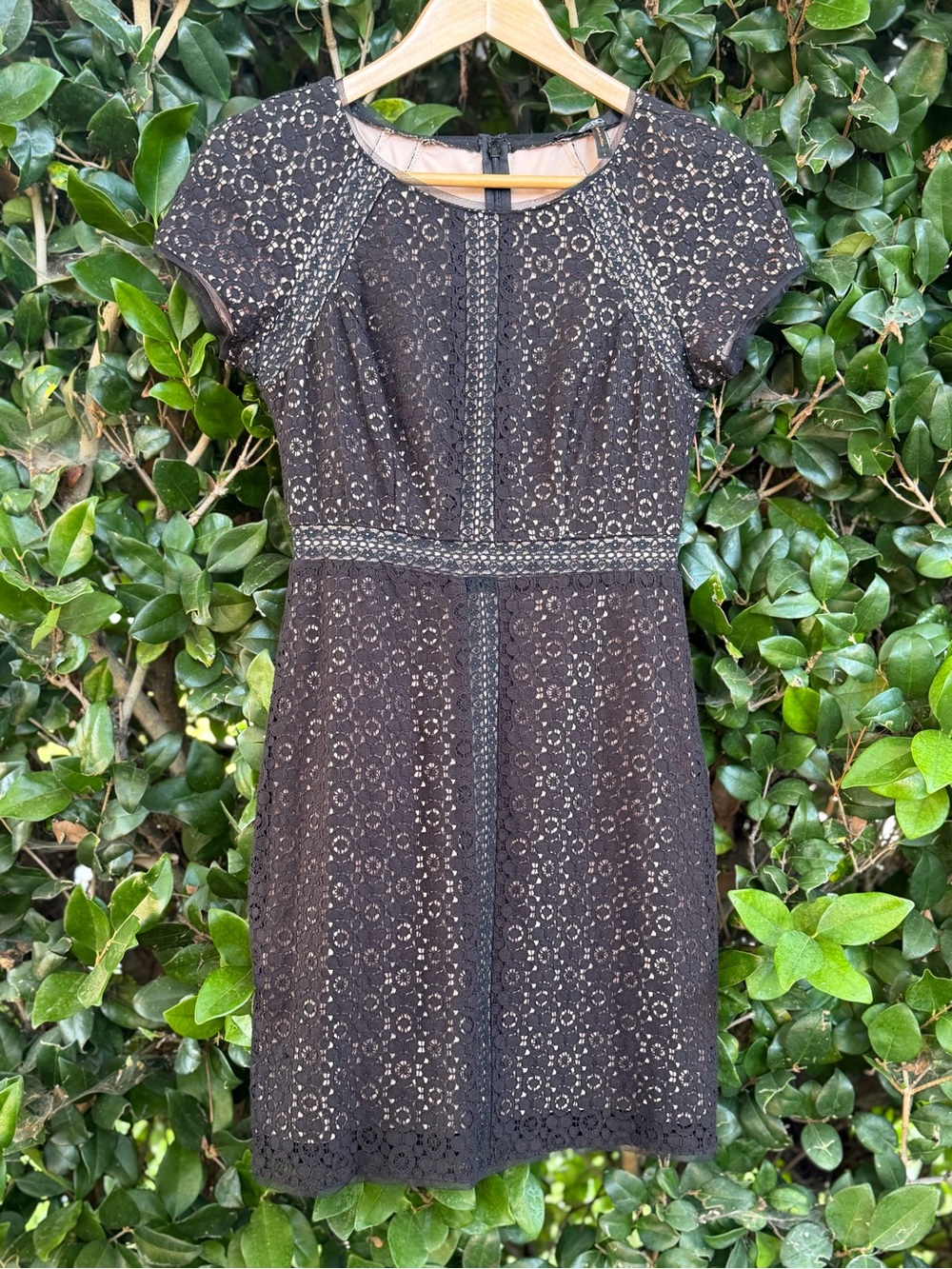 BCBG Black Lace Short Sleeve Sheath Dress